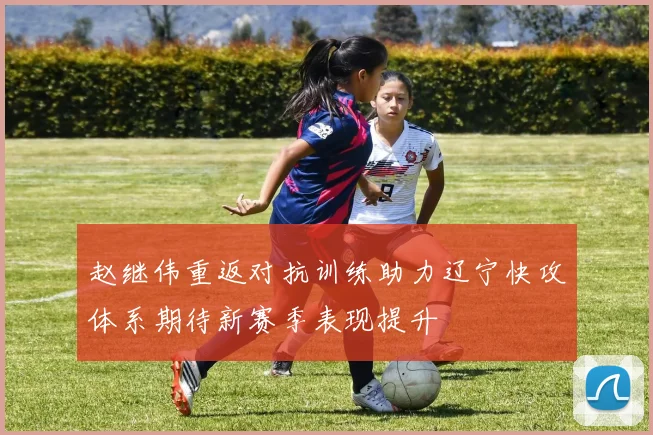 赵继伟重返对抗训练助力辽宁快攻体系期待新赛季表现提升